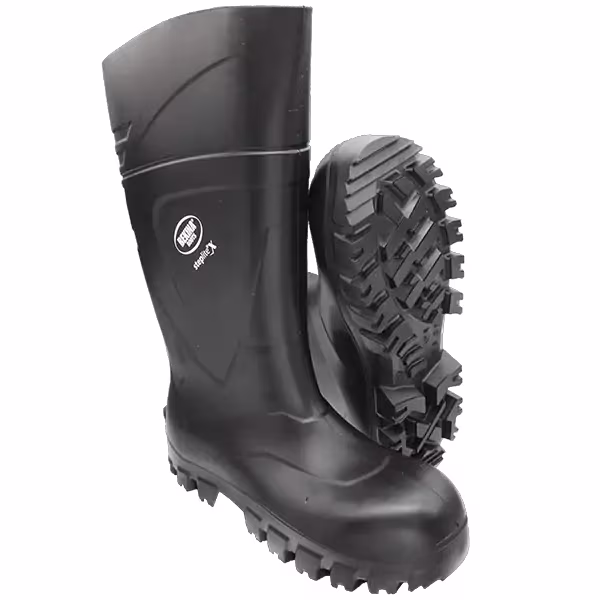 belina boots